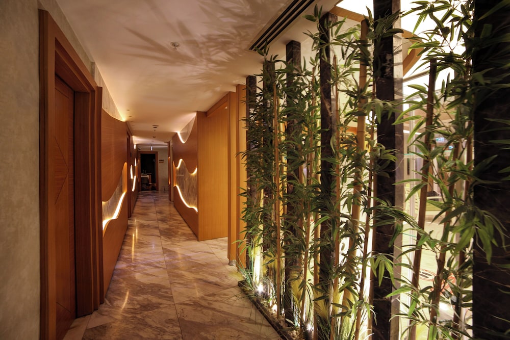 Veyron Hotels Spa 59/64