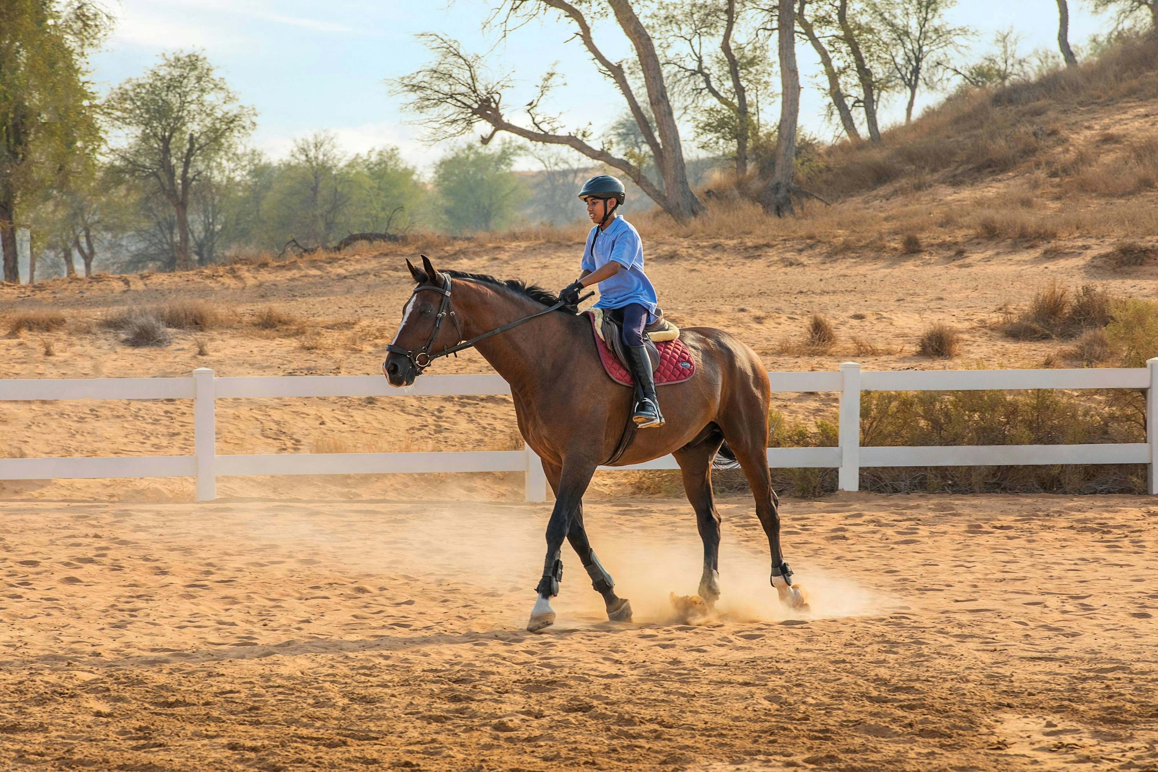 The Ritz Carlton Ras Al Khaimah Al Wadi Desert 3/6