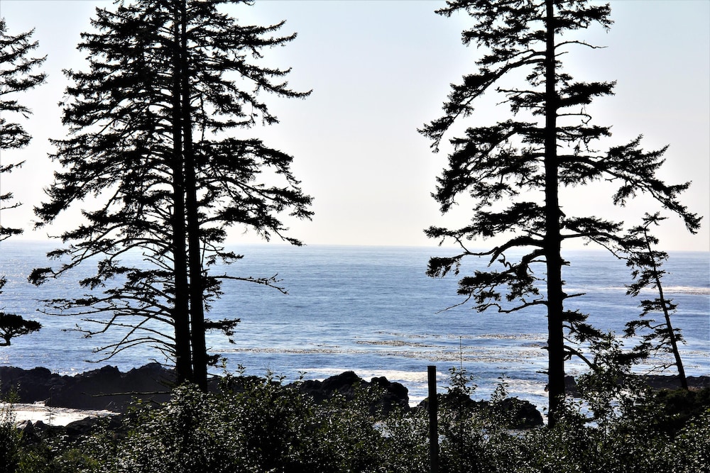 Blue Pacific 18/26
