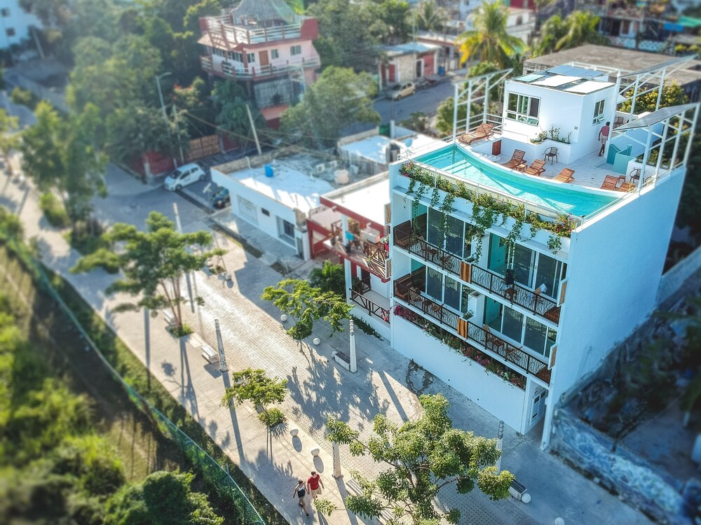 Ocean Zen Suites 2/50