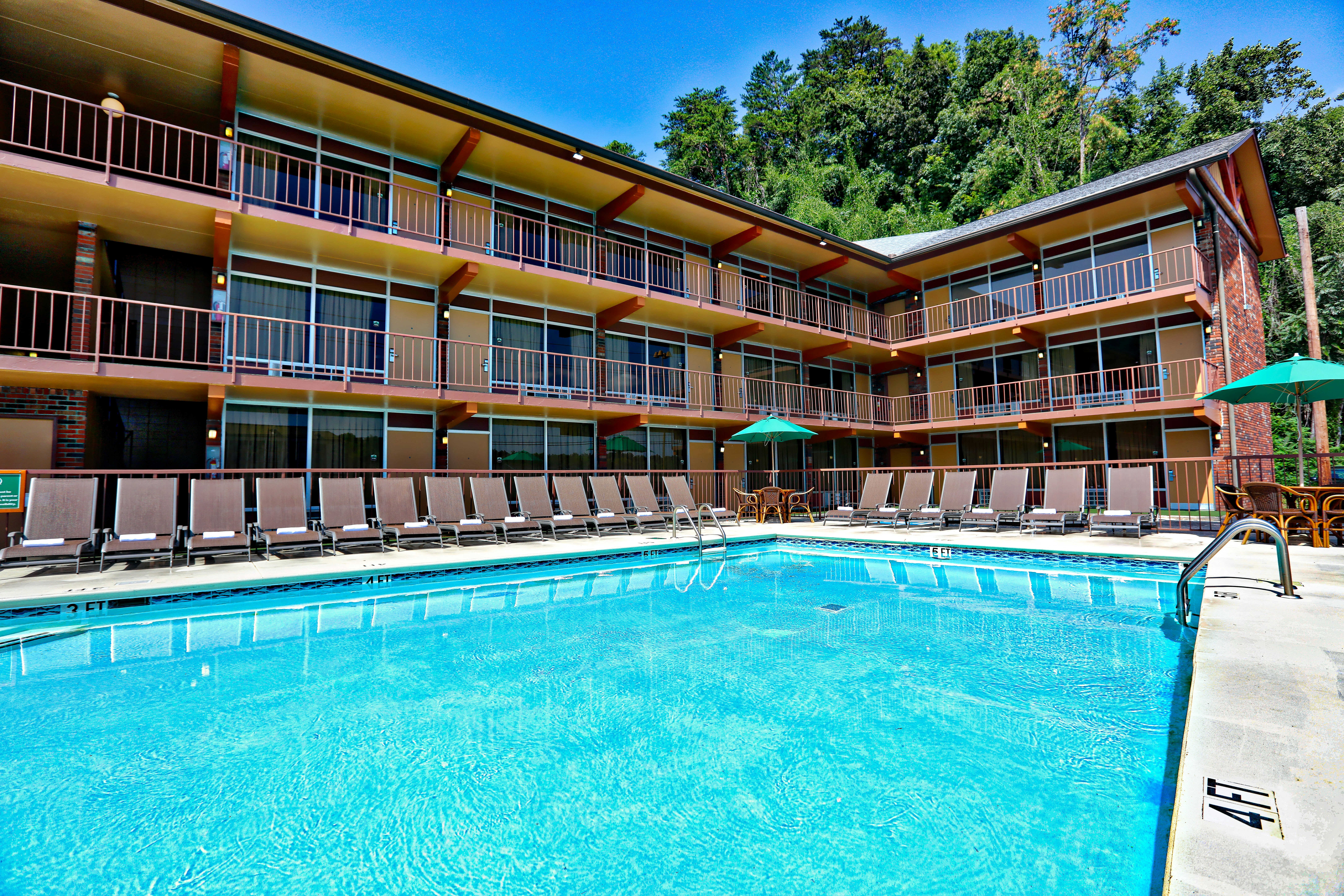 Wild Bear Inn in PIGEON FORGE - TN