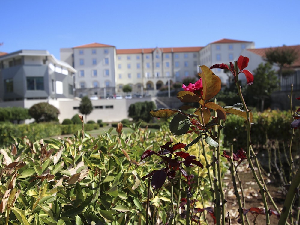 Consolata Hotel 5/50