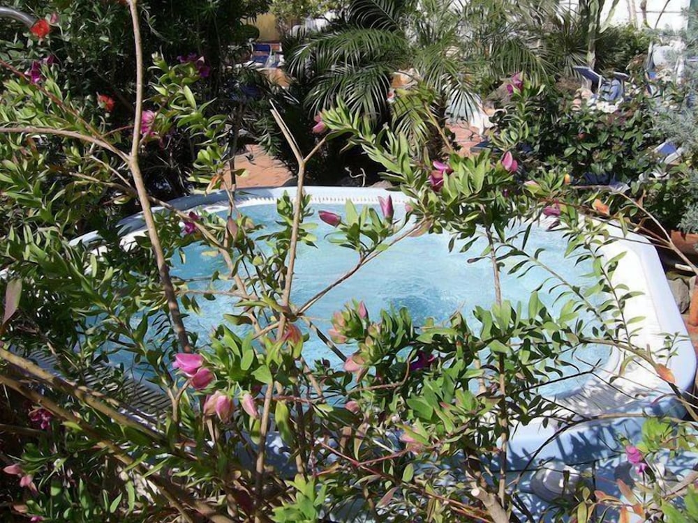 Royal Terme 36/43