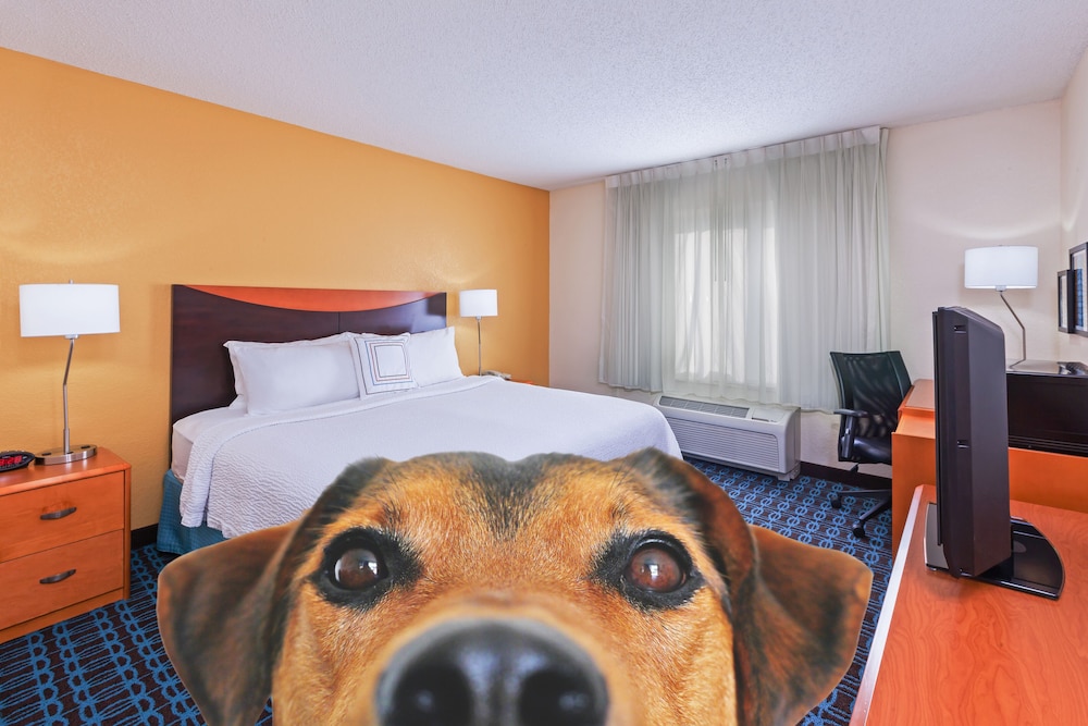 Fairfield Inn and Suites Rogers 13/56