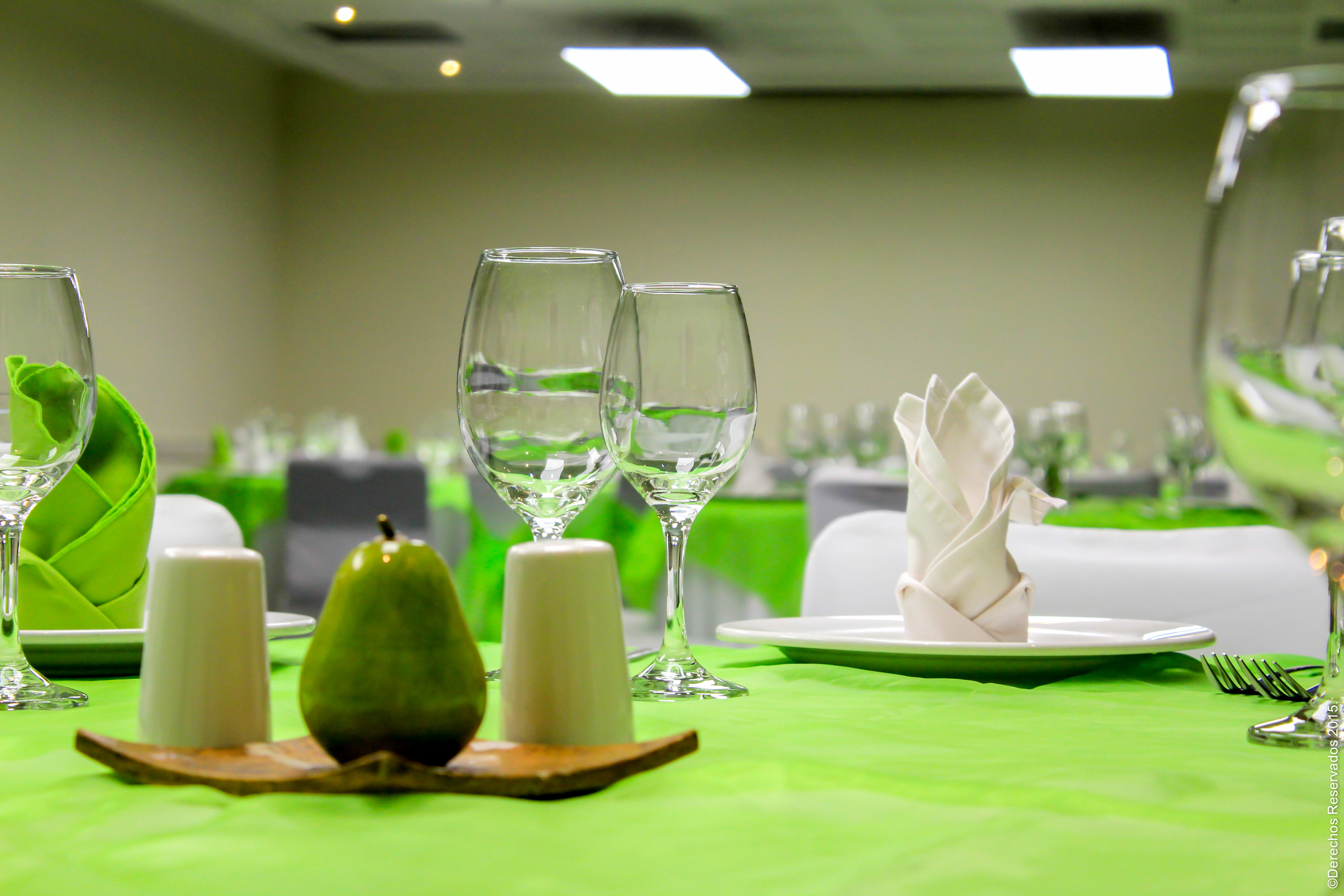 Holiday Inn Leon 48/50