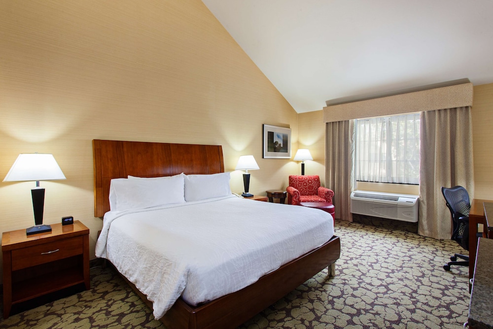 Hilton Garden Inn Valencia Six Flags 13/52