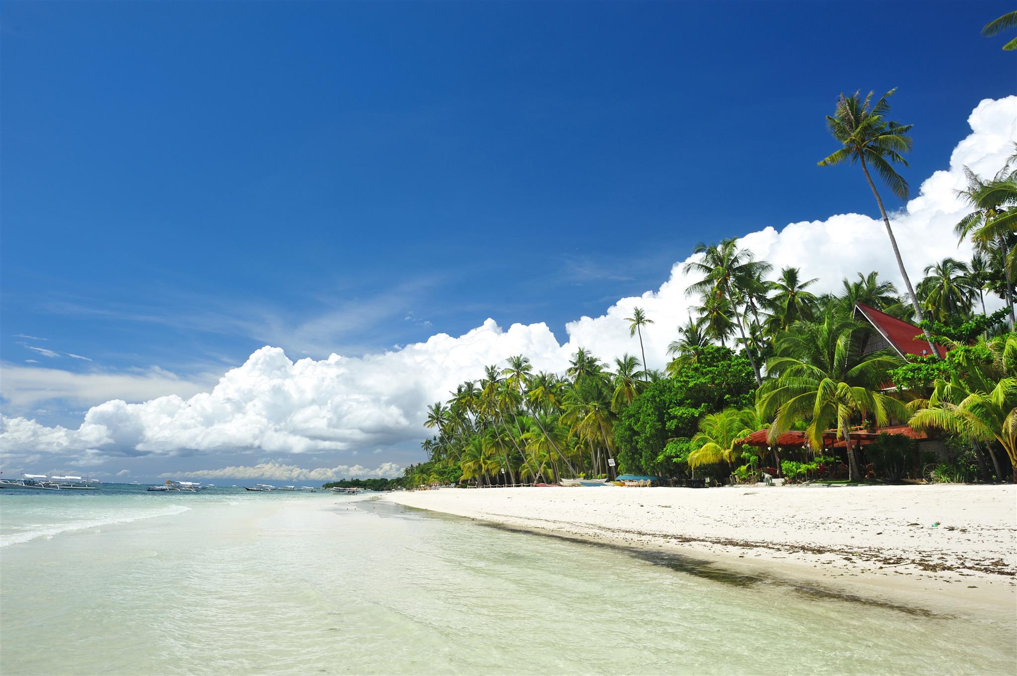Lotus Resort Panglao 23/35