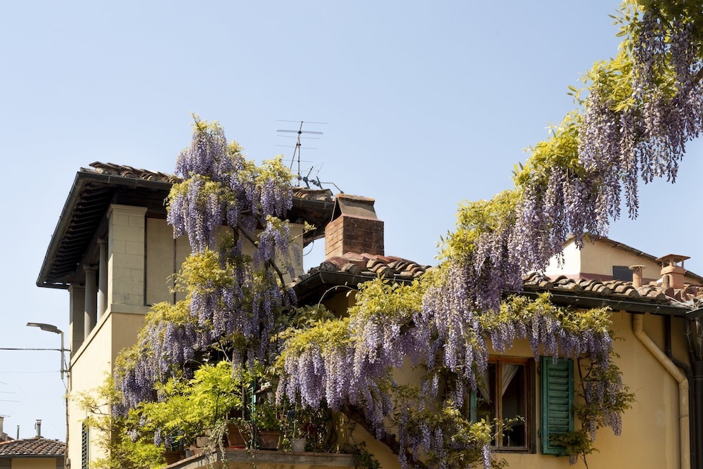 Le Cannelle Fiesole 4/68