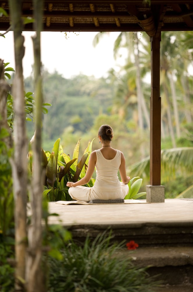 The Payogan Villa Resort and Spa 21/50