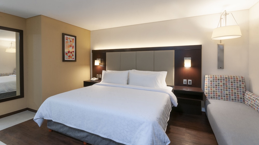 Holiday Inn Express Mexico Basilica 18/52