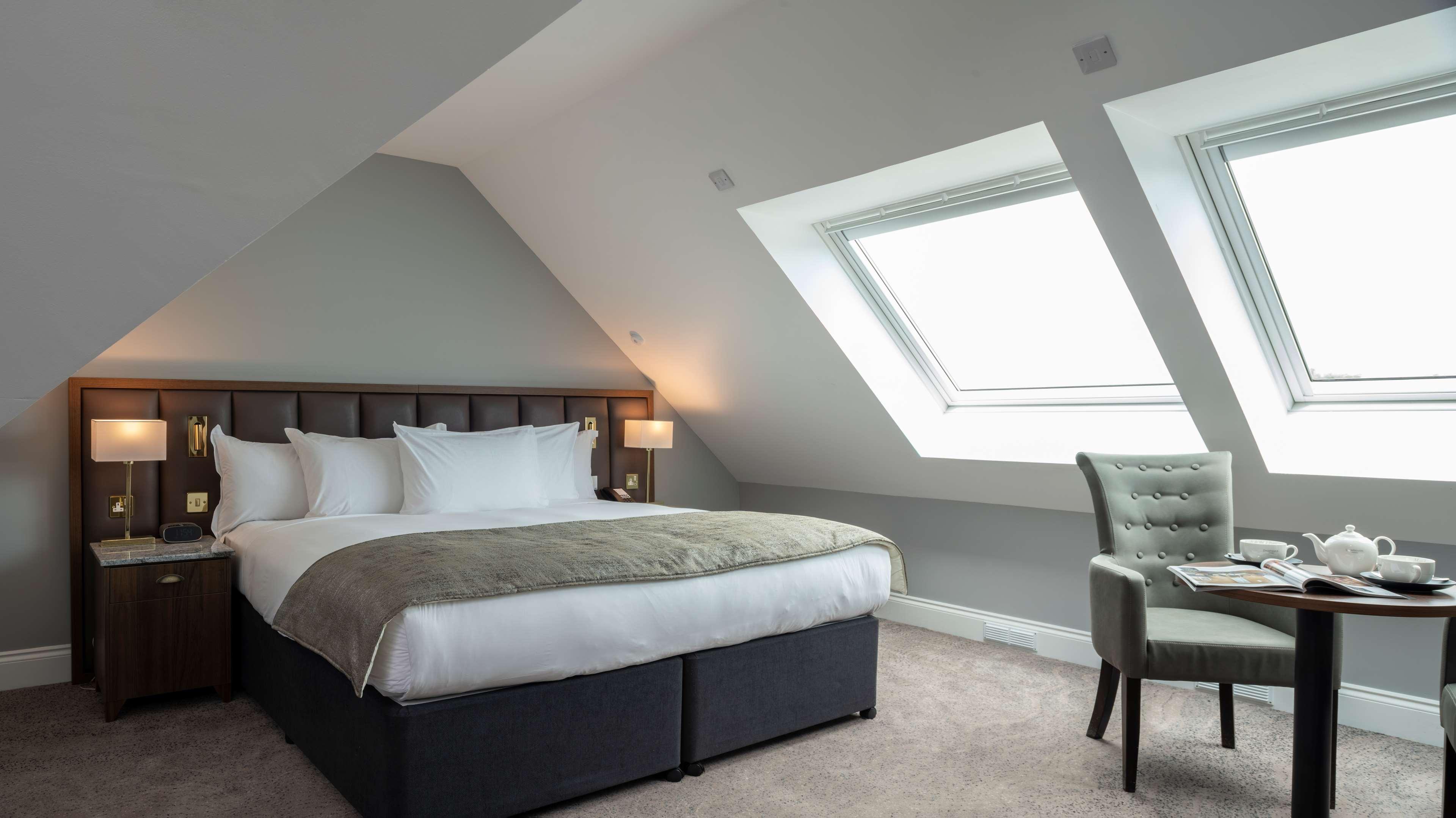Suite, Convertible King Bed