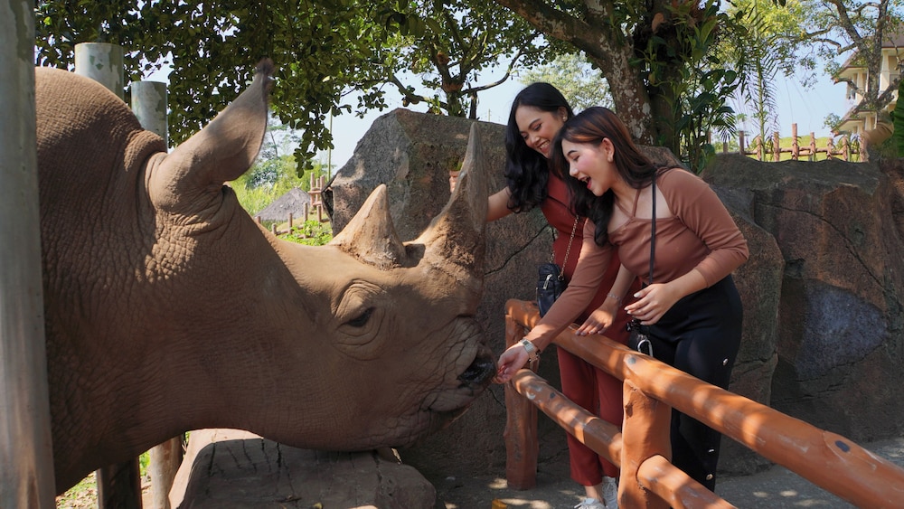 Baobab Safari Resort 9/39