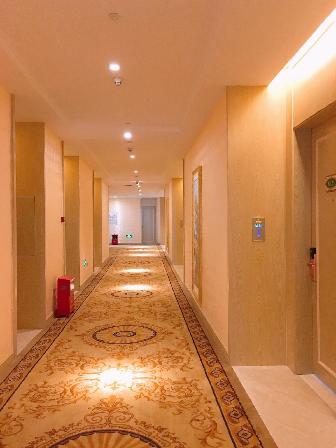 Vienna International Hotel (Zhuhai Tangjiawan University Town) 28/35