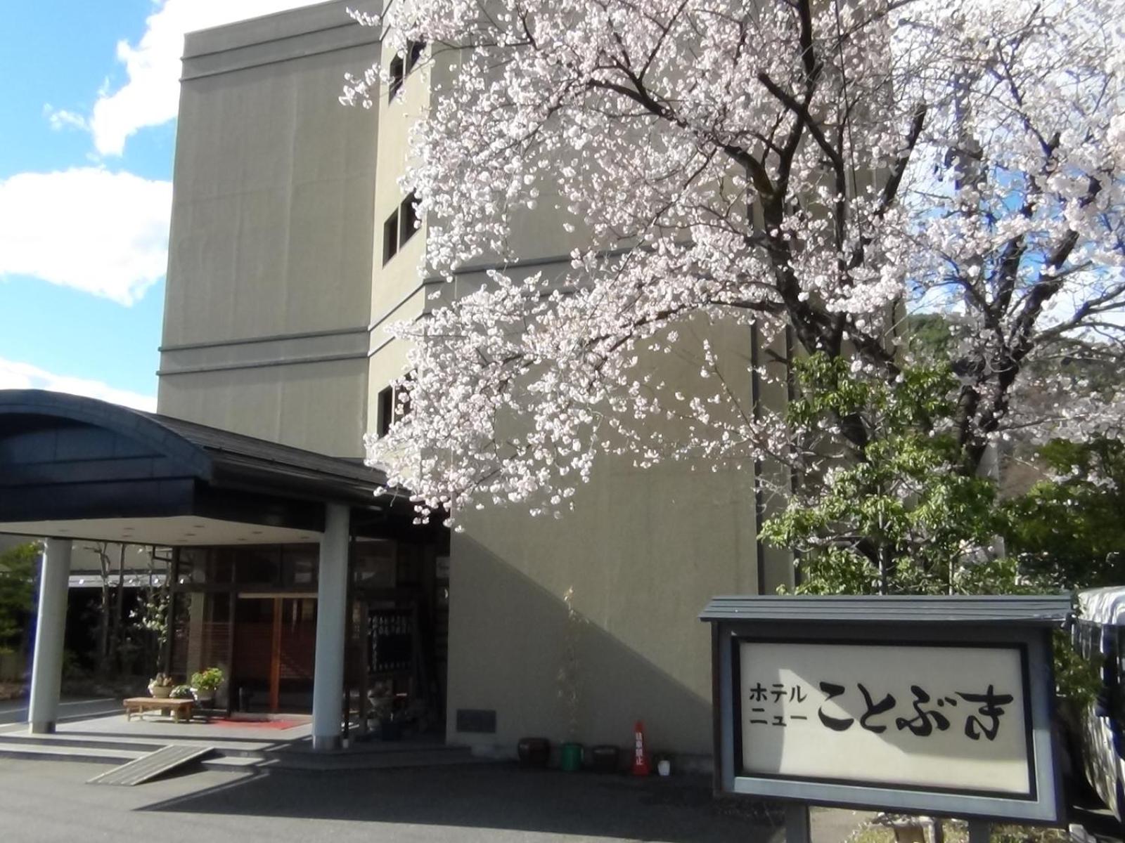 Hotel New Kotobuki 3/50
