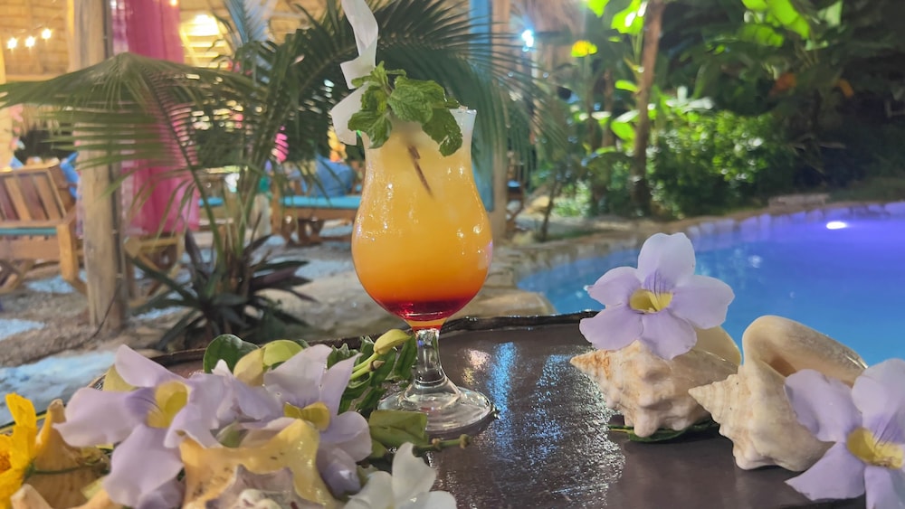 Chalet Tropical Village B&amp;B 29/74
