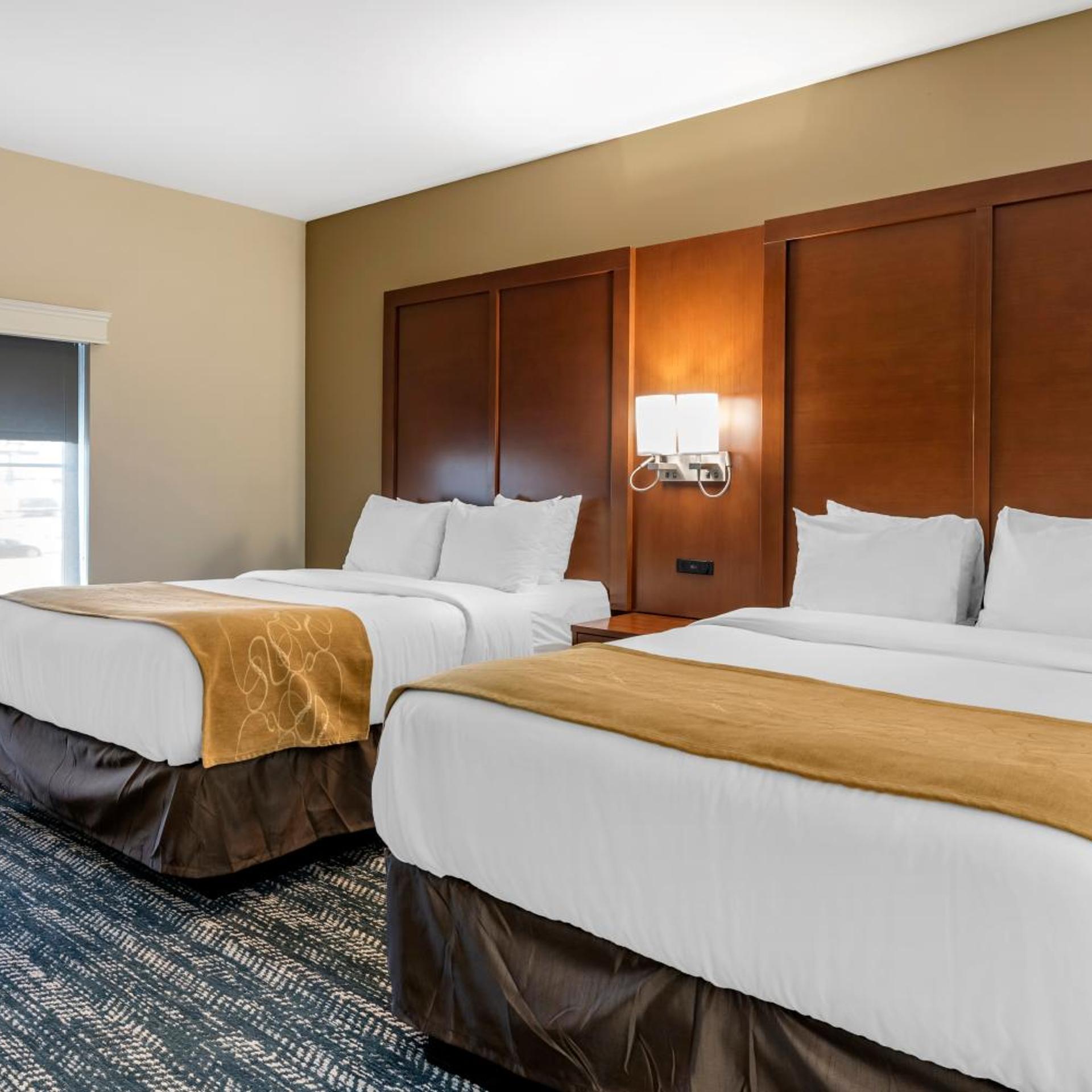 Suite, Queen Bed, Sofa