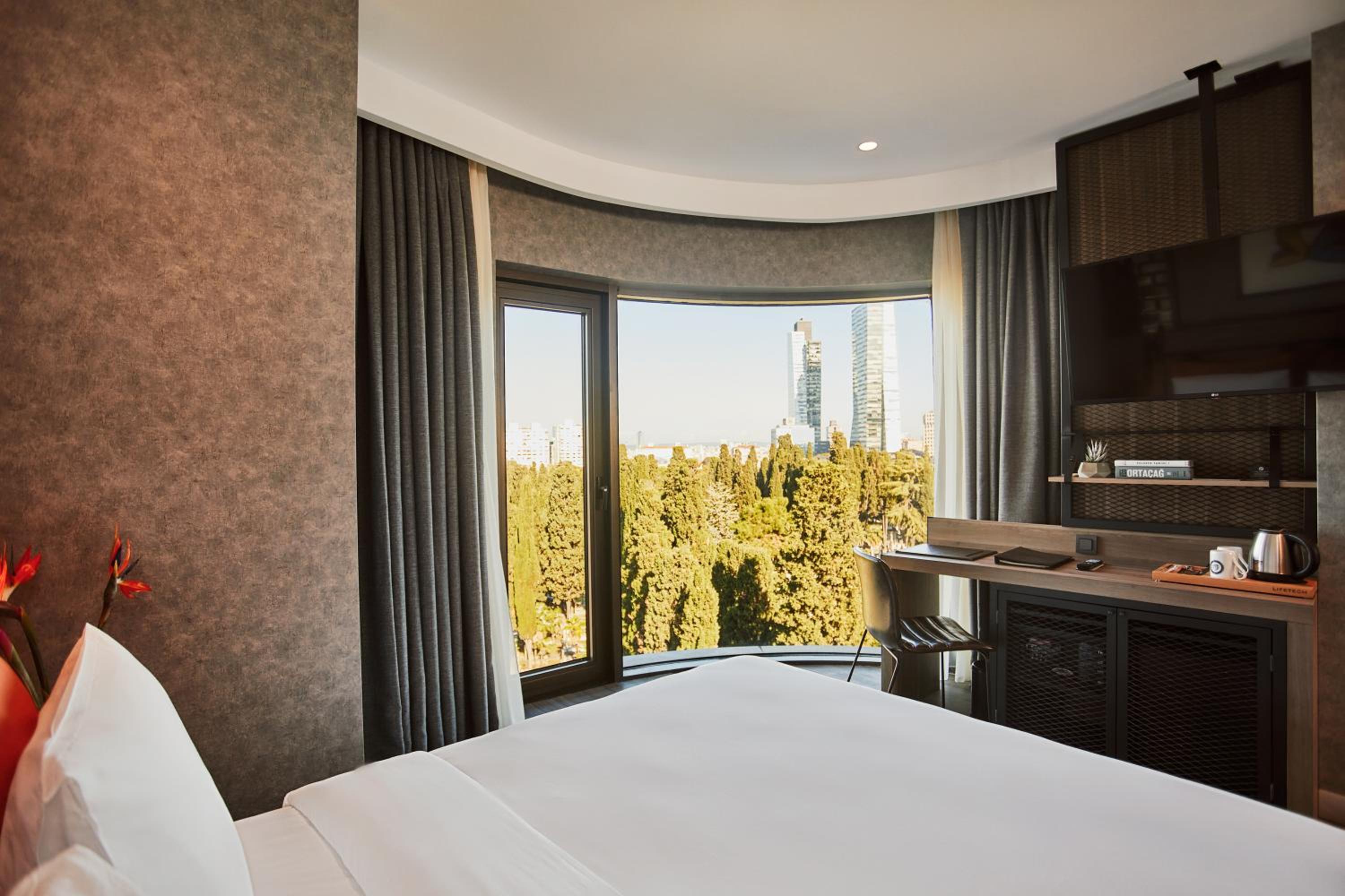 Superior, Queen Bed