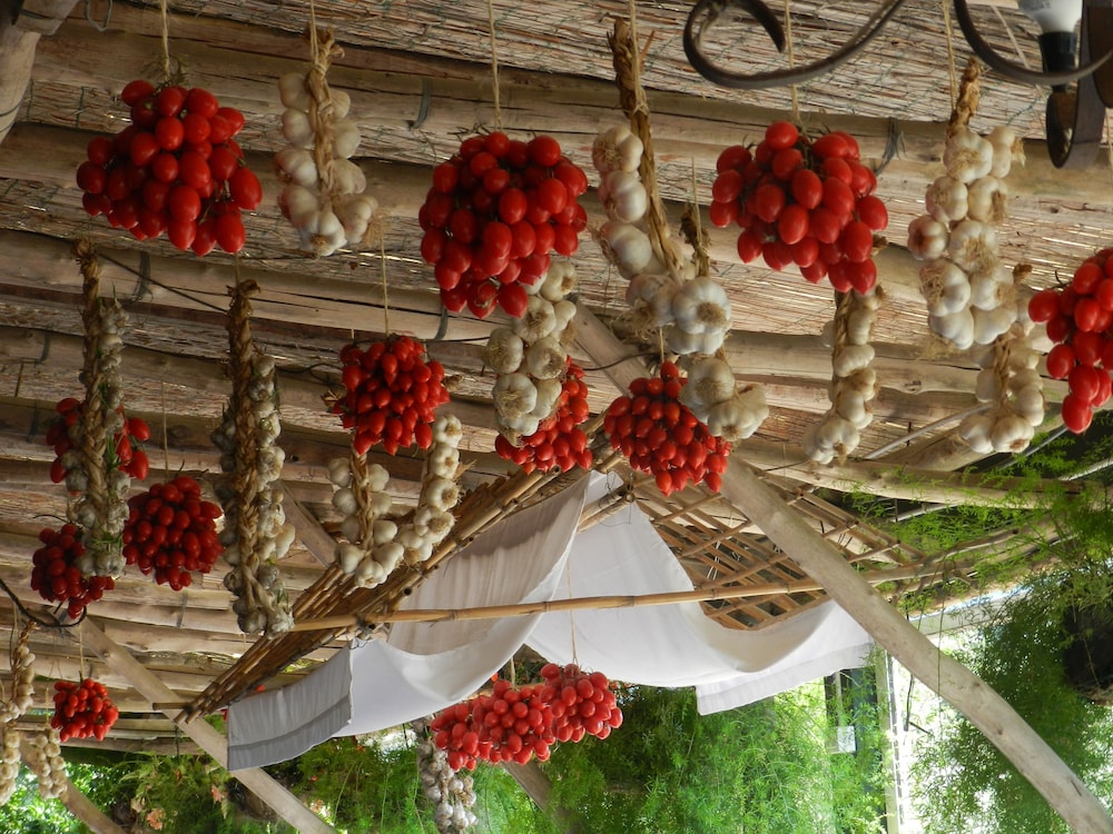 Agriturismo Fattoria Terranova 63/73