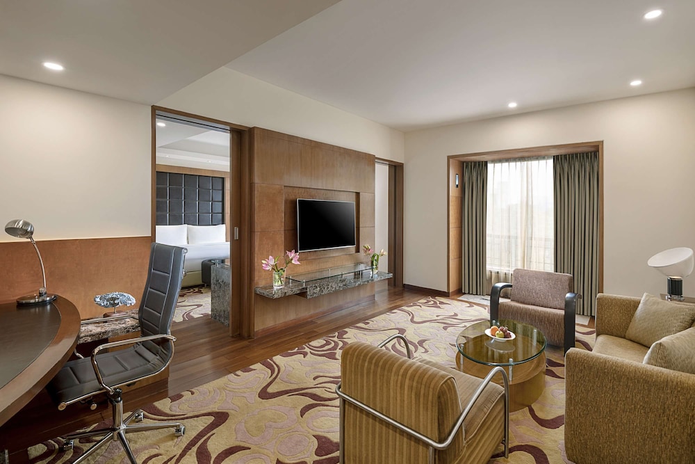 Radisson Blu Plaza Hotel Delhi Airport 50/76