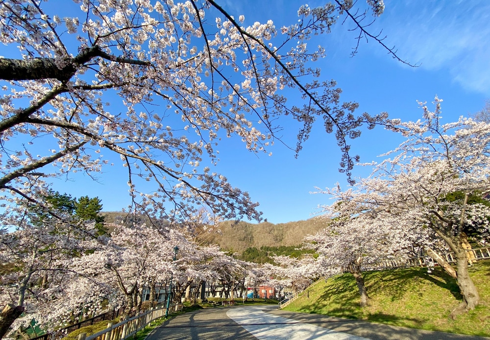 Tokyu Stay Hakodate Asaichi Akarinoyu 51/56