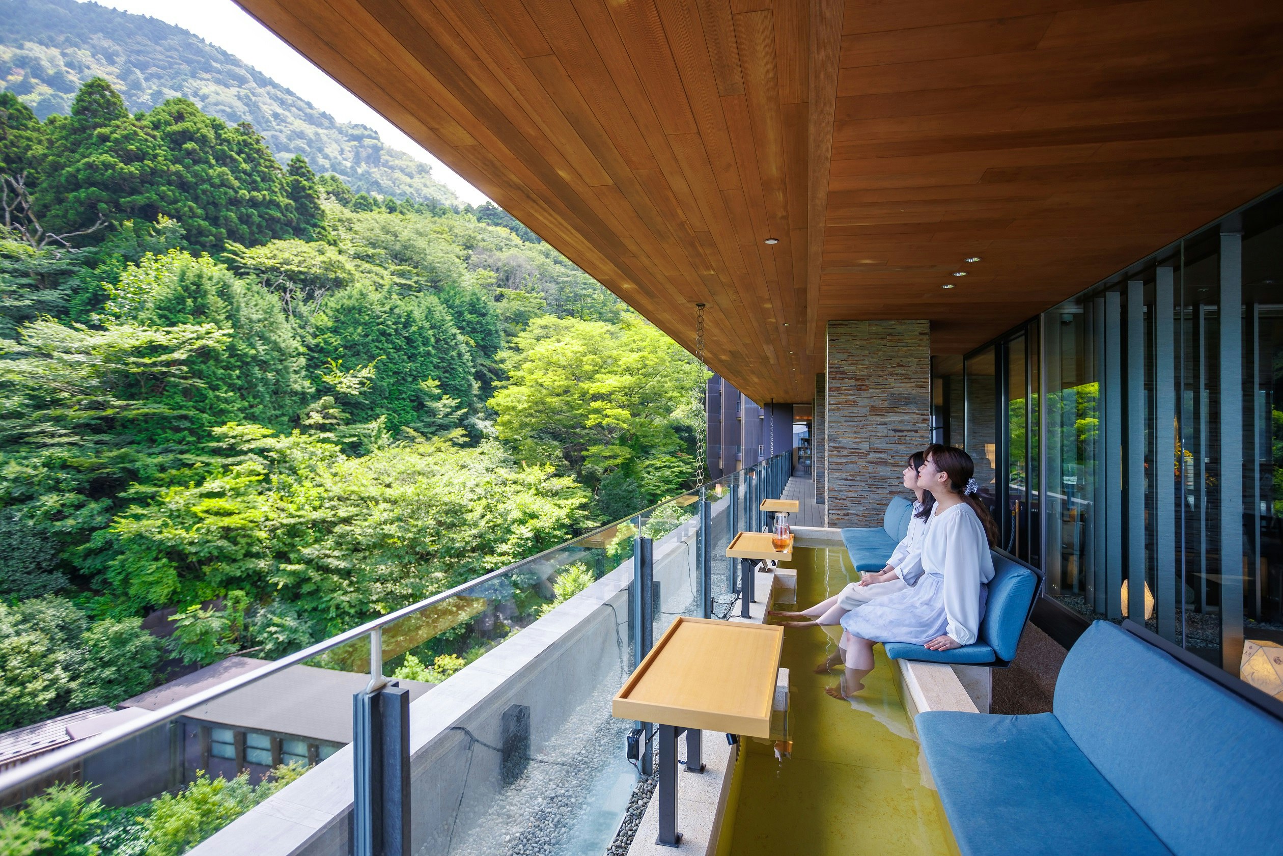 Hakone Kowakien Ten-yu 6/22