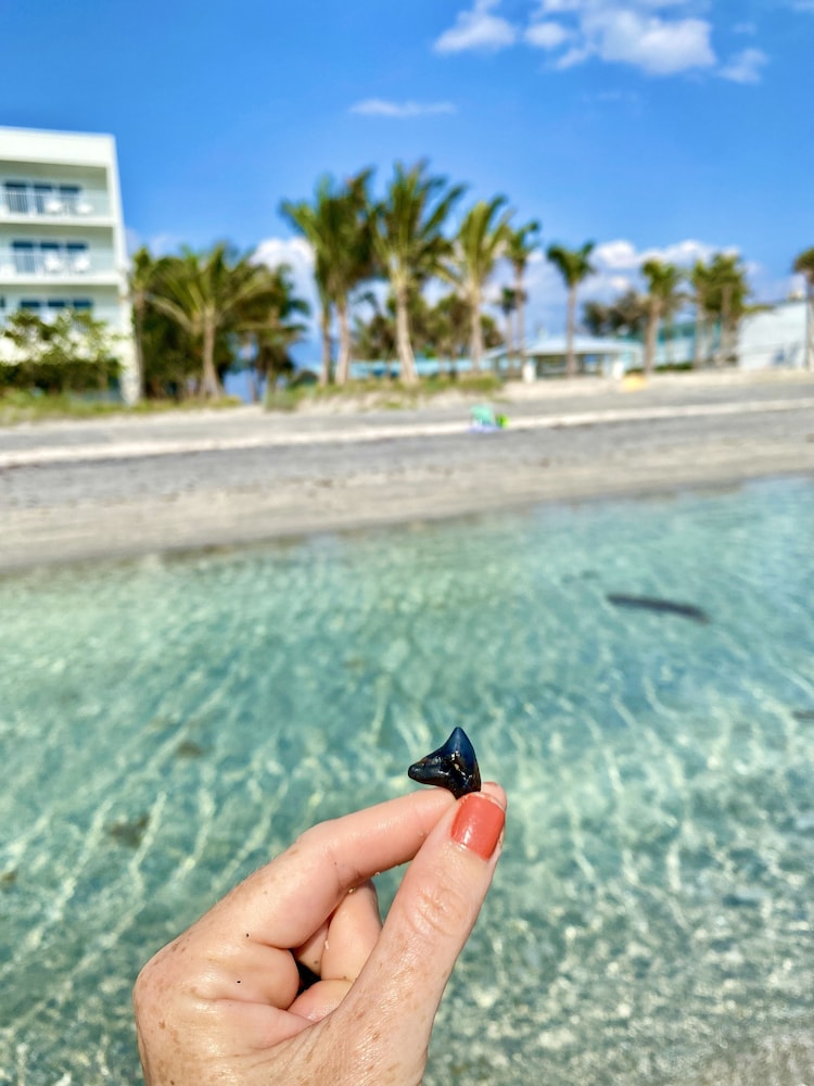 Manasota Key Resort 22/50