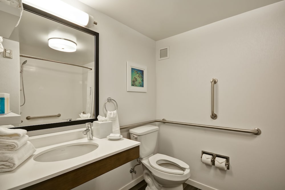 Hampton Inn And Suites Los Angeles Burbank Airport 14/42