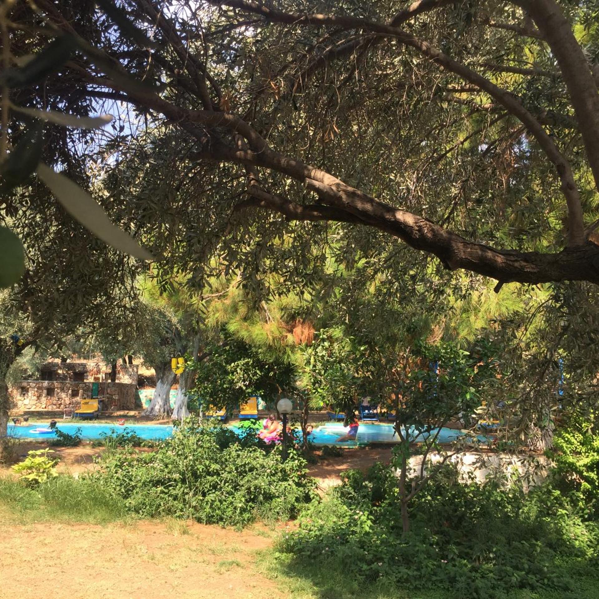 Bahar Bahce Datca 23/39