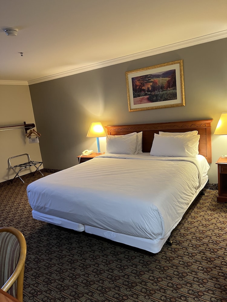 Hotel XOLA, Trademark Collection by Wyndham 13/50