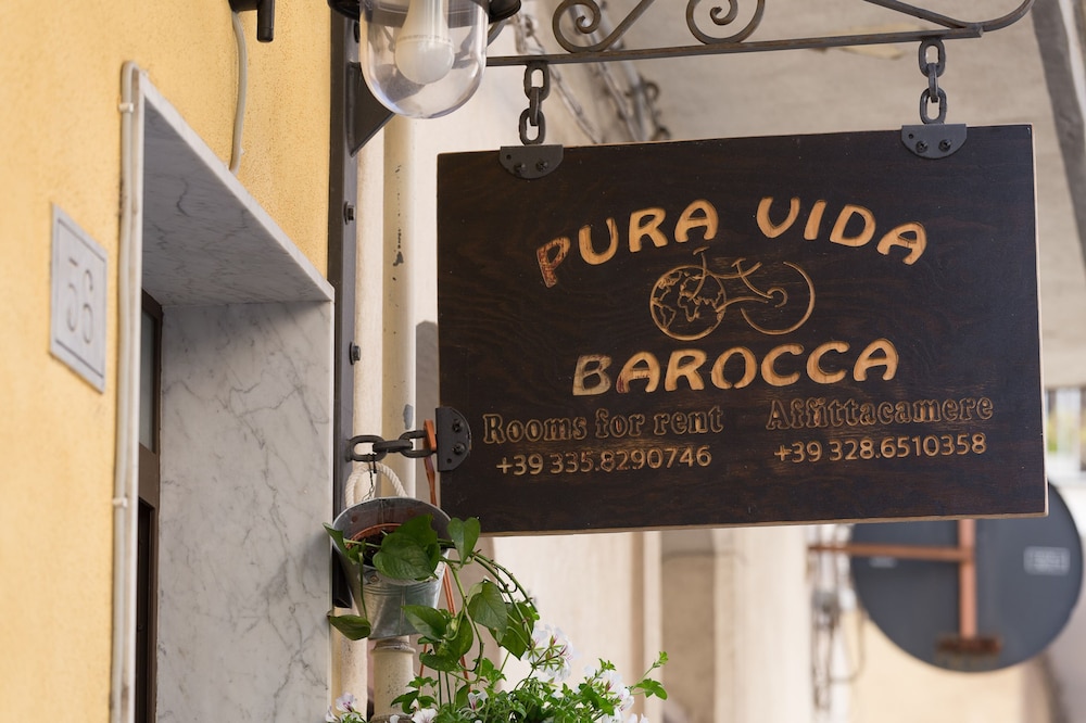 Pura Vida Barocca 24/50