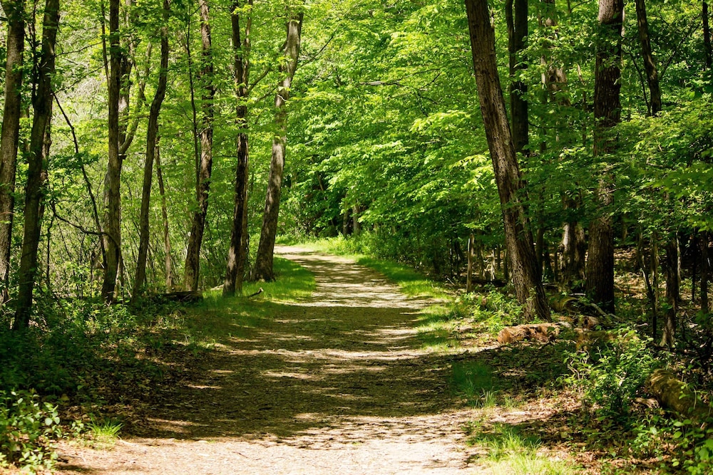Le Relais Des Landes 37/50