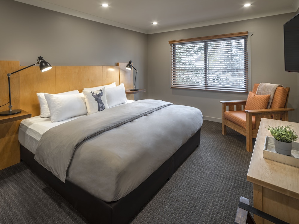 BUFFALO, SUITE, KING BED, SOFA, KITCHENETTE