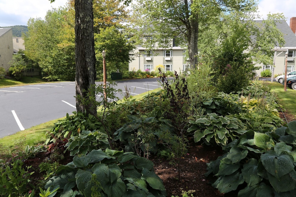 Best Western Silver Fox Inn 38/40