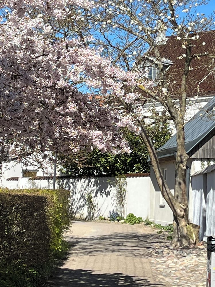 Hotell Bäckagården 42/50