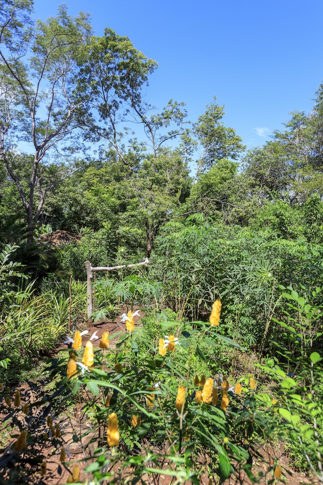 Pousada Canto no Bosque 35/48