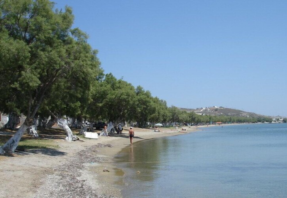 Konstantinos 32/50