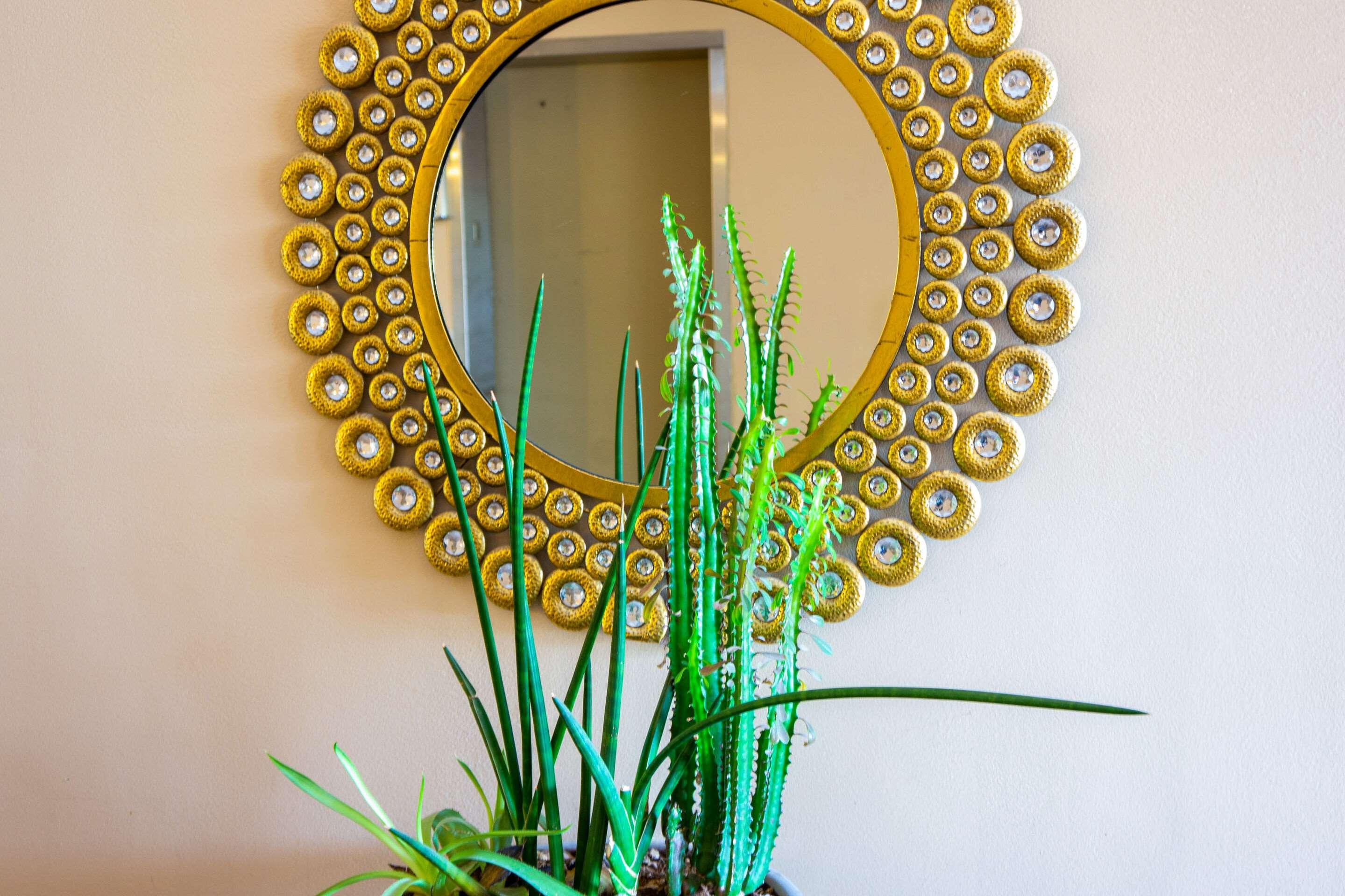 Hotel Tucson City Center, Ascend Hotel Collection 5/14