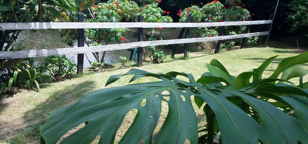 Rancho De Lelo Ecolodge & Sustainable Farm 58/65