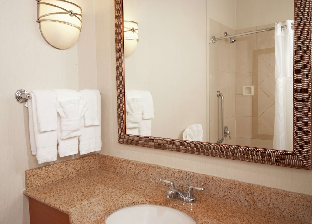 Hilton Garden Inn Atlanta Airport/Millenium Center 17/43