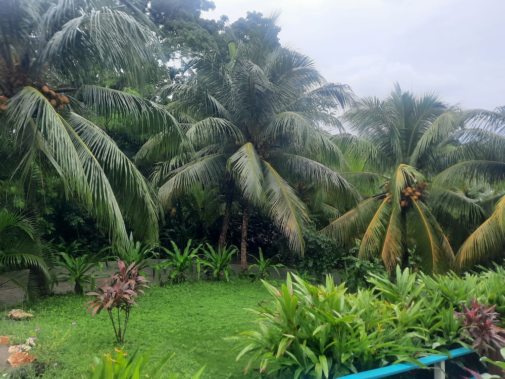 Guava Grove Villas and Resort 69/73
