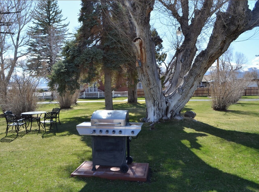 Silver Maple Inn and The Cain House Country Suites 11/19