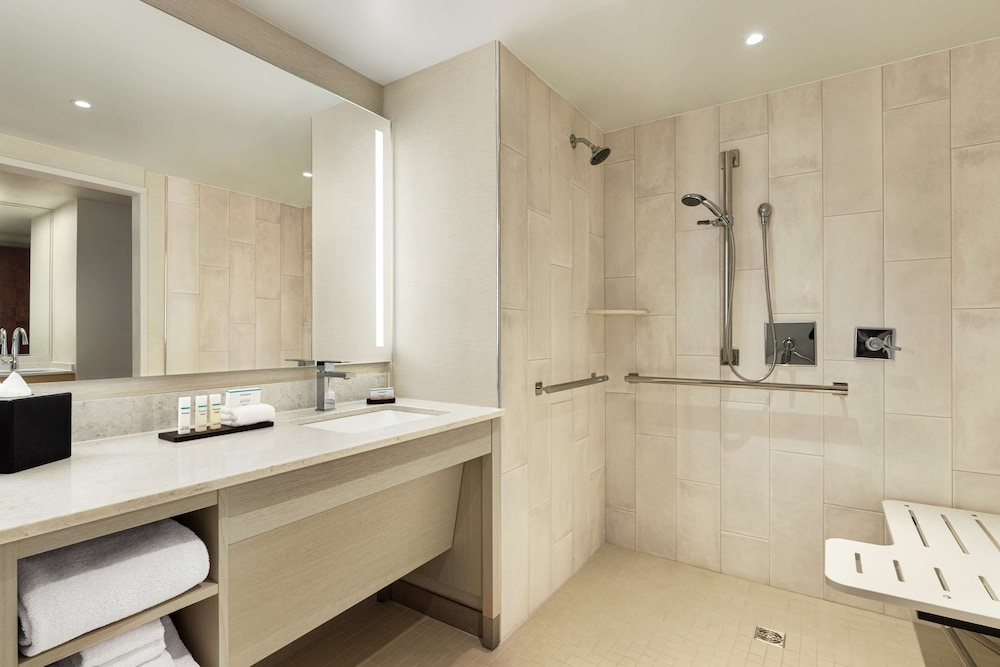 Embassy Suites By Hilton Denver International Airport 23/62