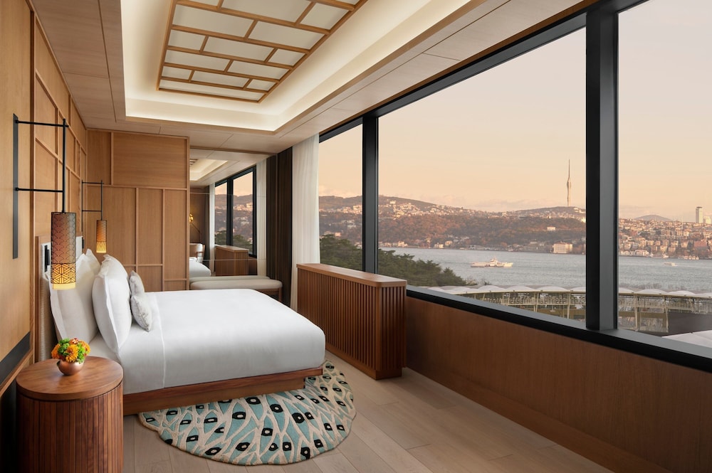 The Ritz Carlton Istanbul 13/50