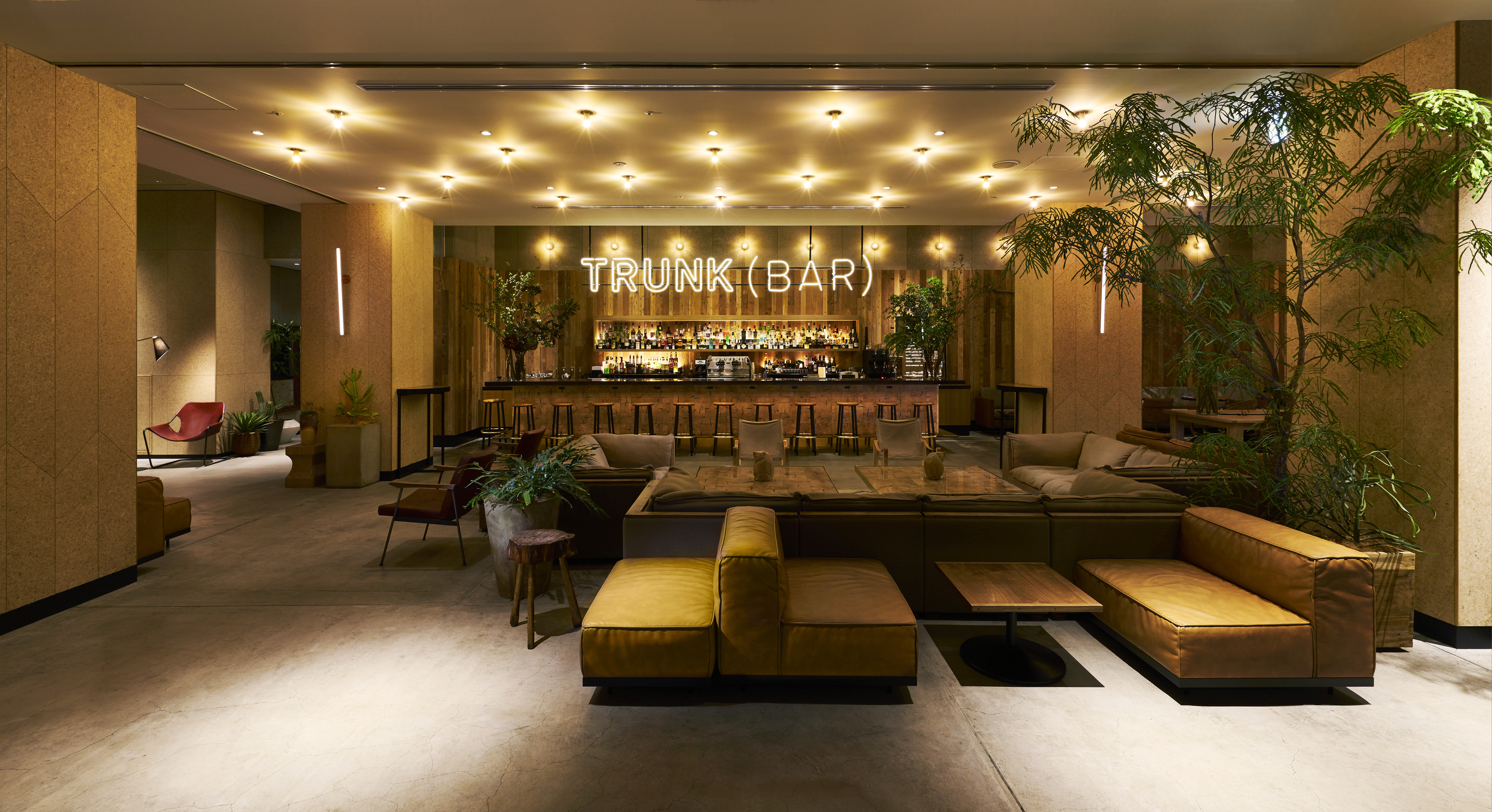 Trunk Hotel 35/50
