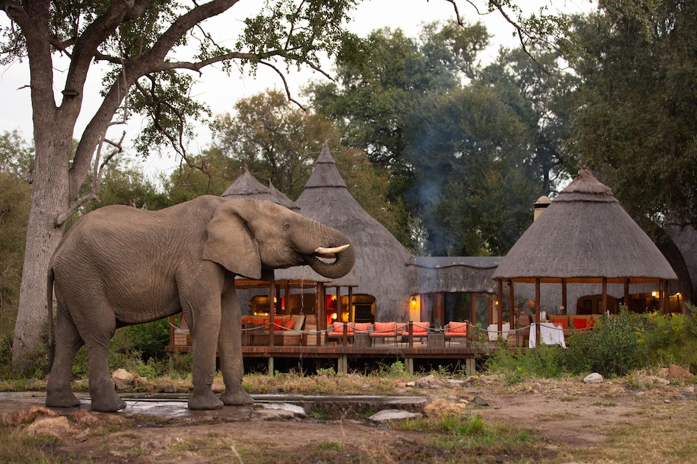Hoyo-Hoyo Tsonga Lodge 9/68