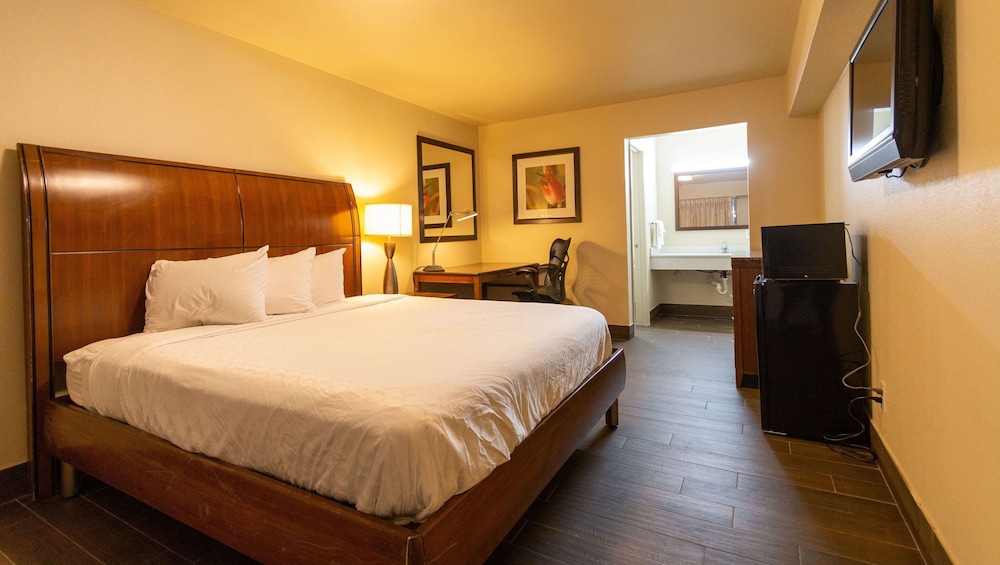DELUXE, KING BED