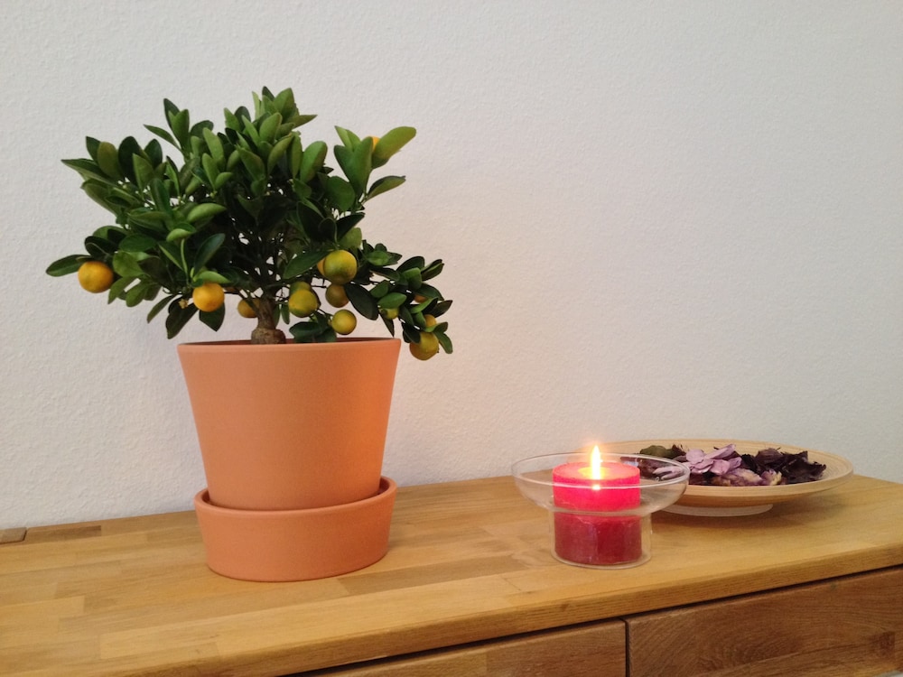 Apartmenthaus Haus Feuerbach 10/23