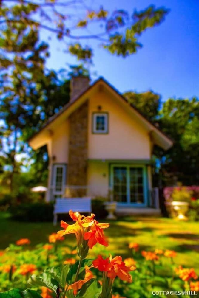 Cottages At Hill Resort 7/50