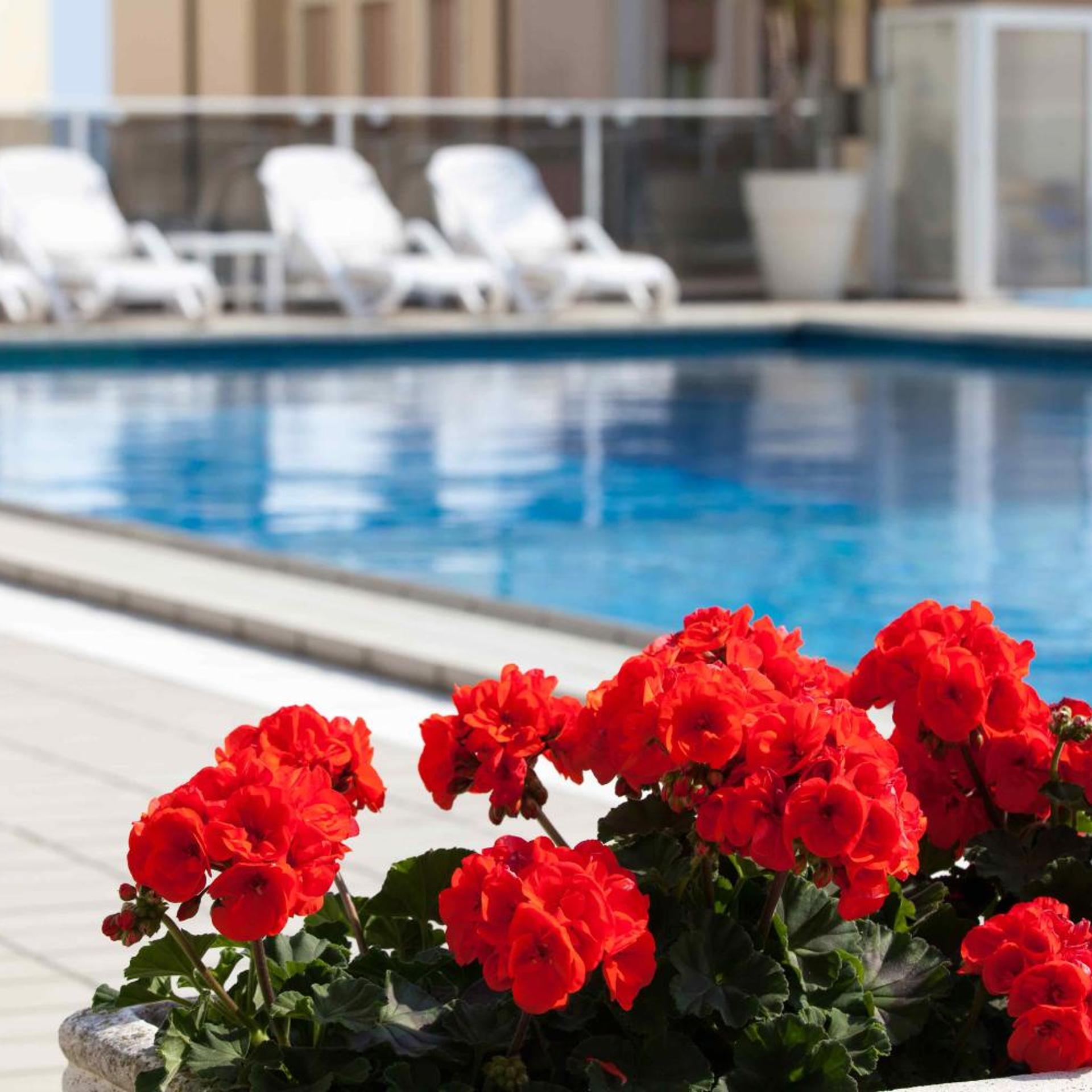 Hotel Rosanna 3 Stelle Superior 56/62
