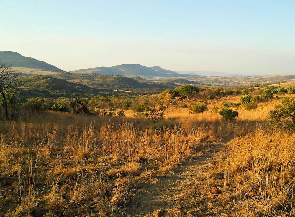 B'sorah Luxury Tented Camp 10/13
